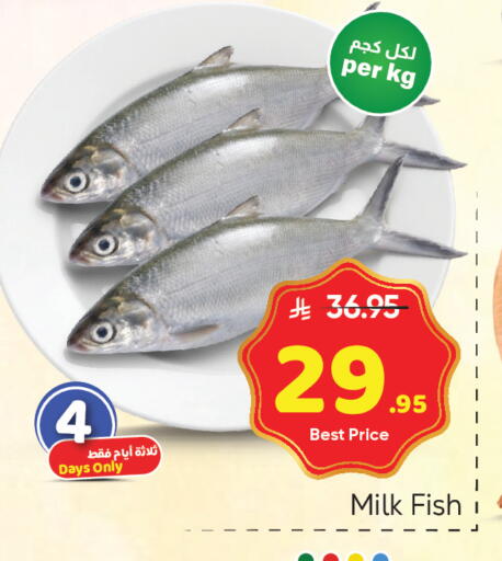 available at مكة هايبرماركت in مملكة العربية السعودية, السعودية, سعودية - الرياض