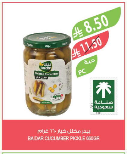 Cucumber available at المزرعة in مملكة العربية السعودية, السعودية, سعودية - ينبع