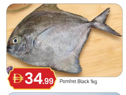 available at سوق طلال in الإمارات العربية المتحدة , الامارات - دبي