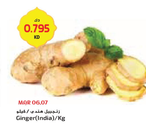 Ginger from India available at Grand Costo in Kuwait - Ahmadi Governorate