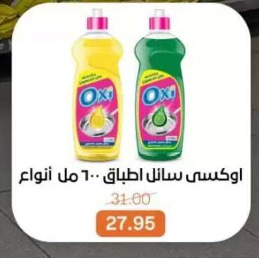 available at Beit El Gomla in Egypt - Cairo