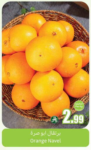 Orange available at Othaim Markets in KSA, Saudi Arabia, Saudi - Bishah