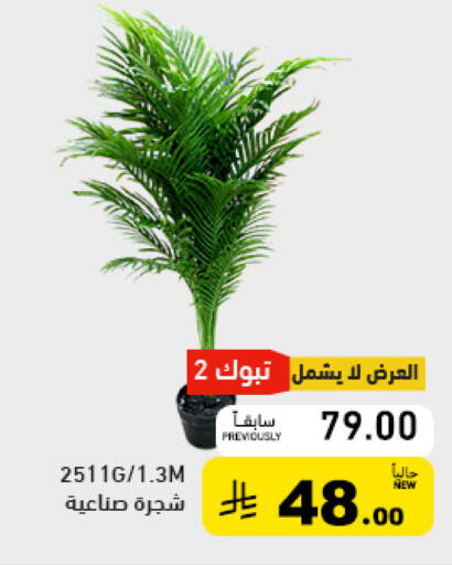 available at أسواق رامز in مملكة العربية السعودية, السعودية, سعودية - الأحساء‎