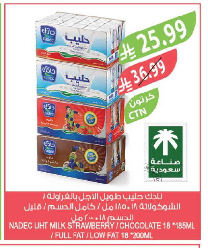 Strawberry available at المزرعة in مملكة العربية السعودية, السعودية, سعودية - الباحة