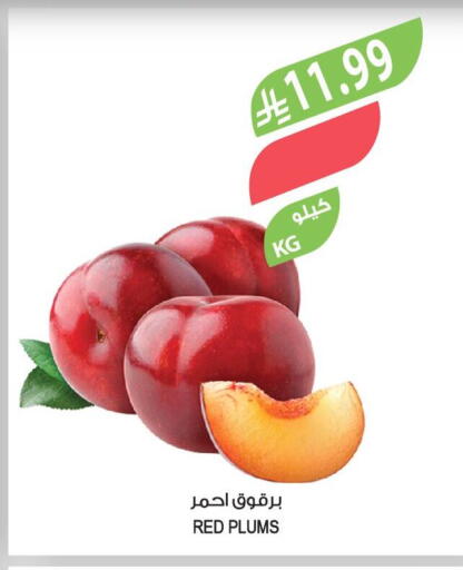 Plums available at المزرعة in مملكة العربية السعودية, السعودية, سعودية - الخرج