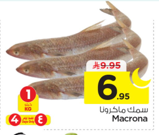 available at نستو in مملكة العربية السعودية, السعودية, سعودية - الرياض