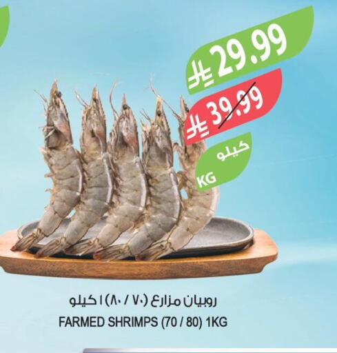 available at Farm  in KSA, Saudi Arabia, Saudi - Jubail