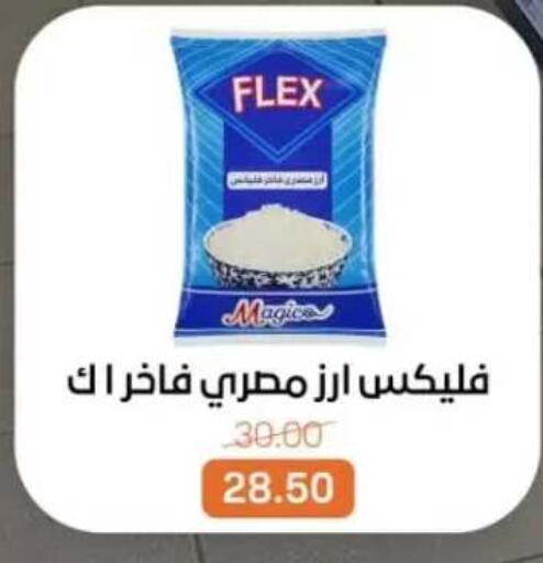 available at بيت الجملة in Egypt - القاهرة