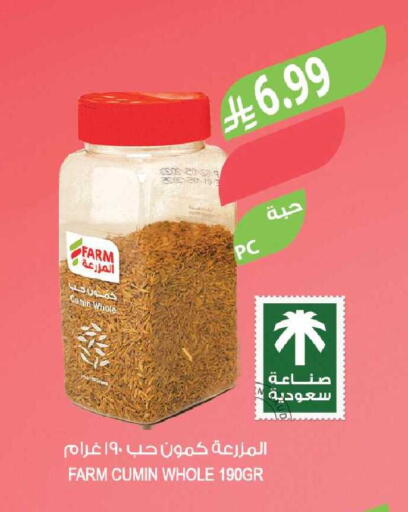 Cumin available at المزرعة in مملكة العربية السعودية, السعودية, سعودية - جازان