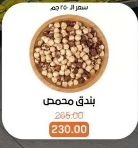available at بيت الجملة in Egypt - القاهرة