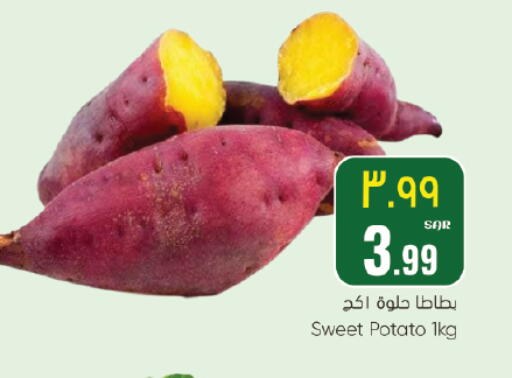 Sweet Potato available at ستي فلاور in مملكة العربية السعودية, السعودية, سعودية - الجبيل‎