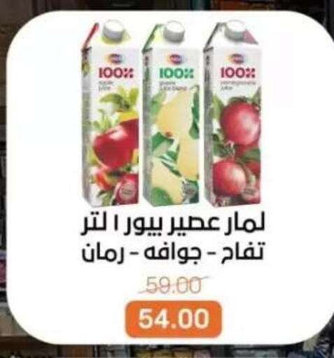 available at بيت الجملة in Egypt - القاهرة