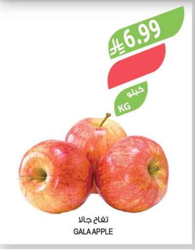 Apple available at المزرعة in مملكة العربية السعودية, السعودية, سعودية - الخرج