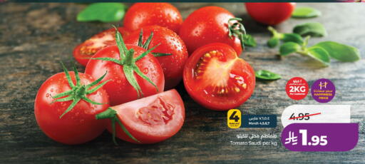 Tomato from Saudi Arabia available at LULU Hypermarket in KSA, Saudi Arabia, Saudi - Hail