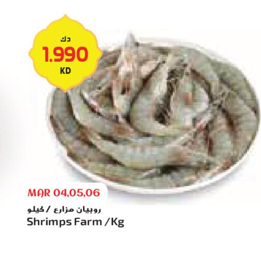 available at جراند كوستو in الكويت - محافظة الأحمدي