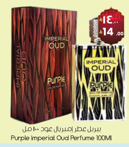 available at ستي فلاور in مملكة العربية السعودية, السعودية, سعودية - حفر الباطن