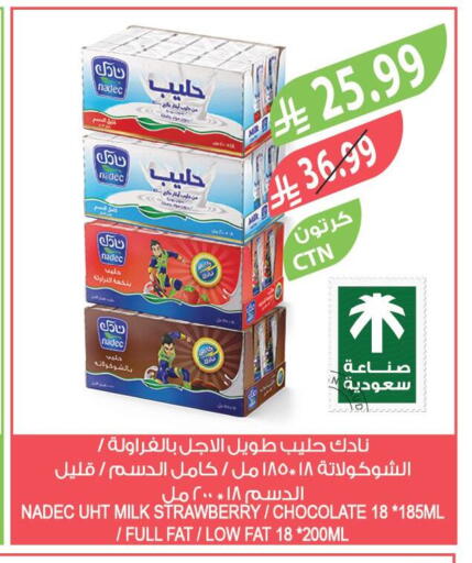 Strawberry available at Farm  in KSA, Saudi Arabia, Saudi - Al-Kharj