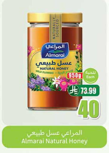available at Othaim Markets in KSA, Saudi Arabia, Saudi - Az Zulfi