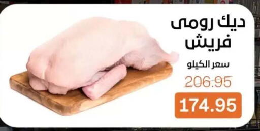 available at بيت الجملة in Egypt - القاهرة