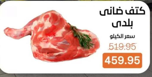 available at بيت الجملة in Egypt - القاهرة