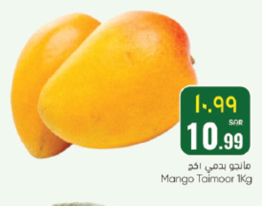 Mango available at ستي فلاور in مملكة العربية السعودية, السعودية, سعودية - سكاكا