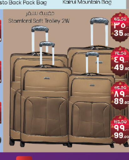 available at City Flower in KSA, Saudi Arabia, Saudi - Hail