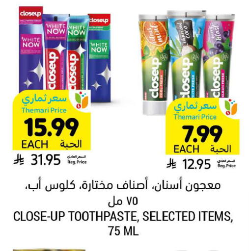 Mint available at Tamimi Market in KSA, Saudi Arabia, Saudi - Ar Rass