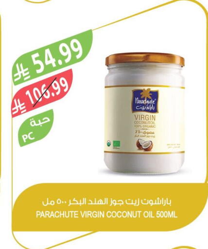 Coconut available at Farm  in KSA, Saudi Arabia, Saudi - Khafji