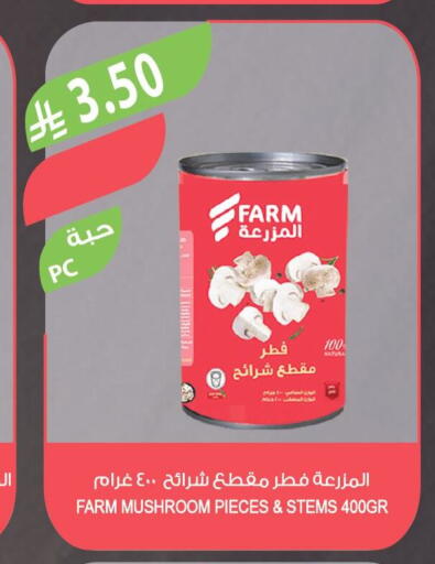 Mushroom available at Farm  in KSA, Saudi Arabia, Saudi - Qatif