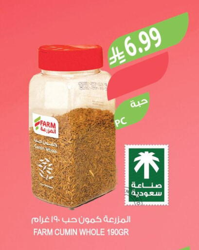 Cumin available at المزرعة in مملكة العربية السعودية, السعودية, سعودية - الخرج
