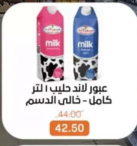available at Beit El Gomla in Egypt - Cairo