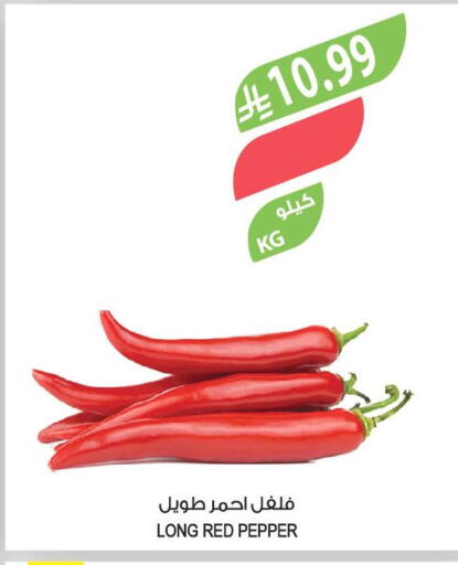 Pepper available at المزرعة in مملكة العربية السعودية, السعودية, سعودية - الخرج