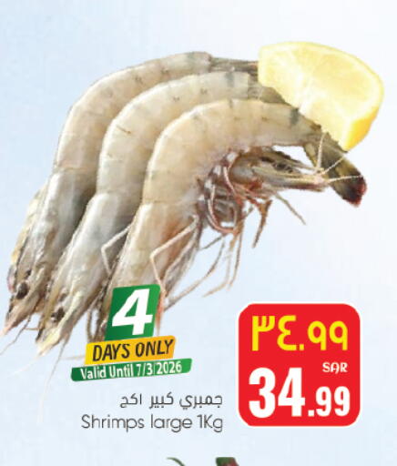 available at City Flower in KSA, Saudi Arabia, Saudi - Hail