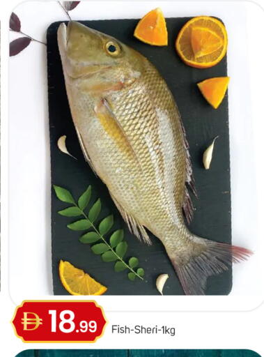 available at سوق طلال in الإمارات العربية المتحدة , الامارات - أبو ظبي