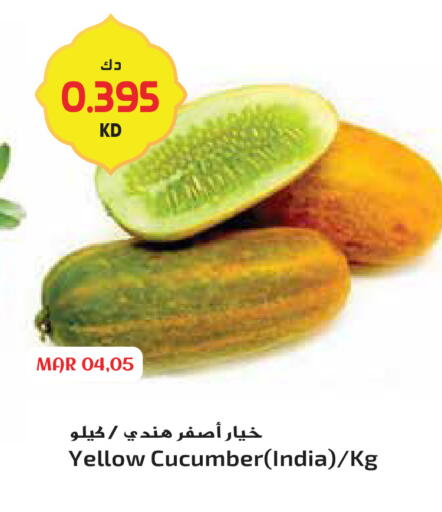 Cucumber from India available at جراند هايبر in الكويت - مدينة الكويت