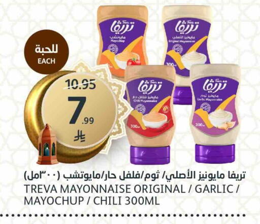 Garlic available at AlJazera Shopping Center in KSA, Saudi Arabia, Saudi - Riyadh