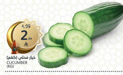Cucumber available at AlJazera Shopping Center in KSA, Saudi Arabia, Saudi - Riyadh