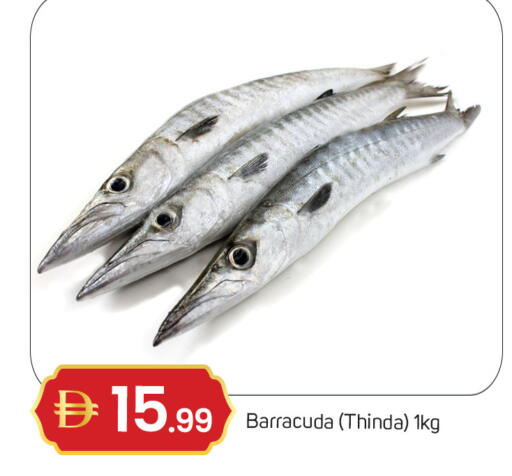 available at سوق طلال in الإمارات العربية المتحدة , الامارات - دبي