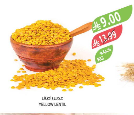 available at المزرعة in مملكة العربية السعودية, السعودية, سعودية - جدة