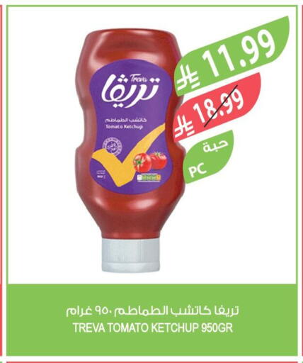 Tomato available at Farm  in KSA, Saudi Arabia, Saudi - Al-Kharj