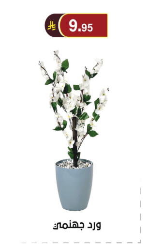 available at الحسين توب أب in مملكة العربية السعودية, السعودية, سعودية - الرياض