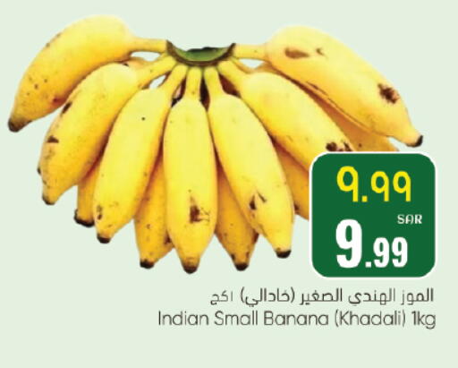 Banana from India available at City Flower in KSA, Saudi Arabia, Saudi - Jubail