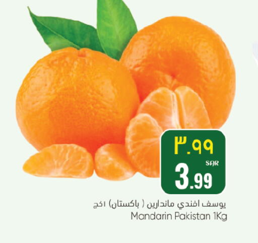 Mandarin from Pakistan available at ستي فلاور in مملكة العربية السعودية, السعودية, سعودية - حائل‎