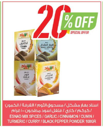 Garlic Turmeric Cinnamon Cumin Pepper available at المزرعة in مملكة العربية السعودية, السعودية, سعودية - ينبع