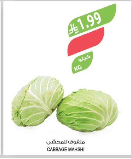 Cabbage available at المزرعة in مملكة العربية السعودية, السعودية, سعودية - جدة
