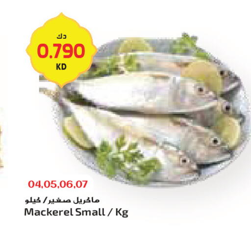 available at جراند كوستو in الكويت - محافظة الأحمدي