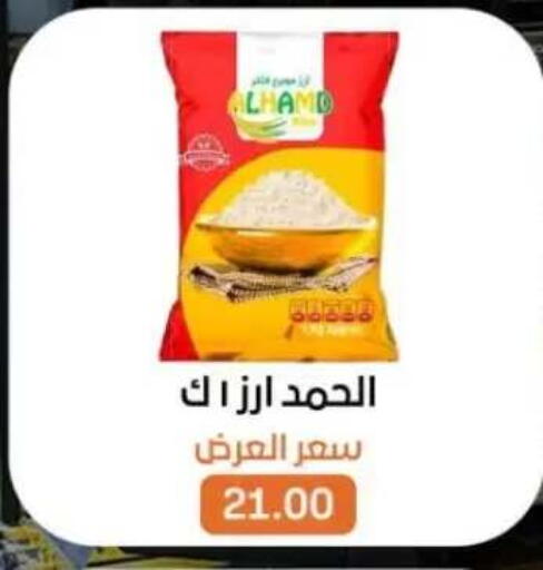available at بيت الجملة in Egypt - القاهرة