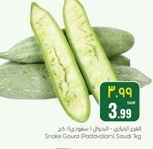 from Saudi Arabia available at ستي فلاور in مملكة العربية السعودية, السعودية, سعودية - الرياض