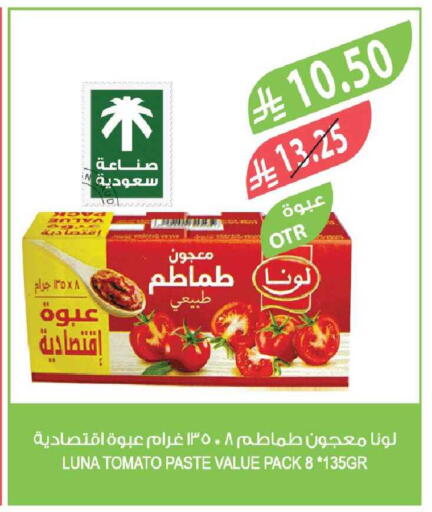 Tomato available at Farm  in KSA, Saudi Arabia, Saudi - Najran