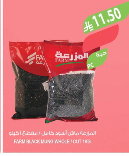 available at المزرعة in مملكة العربية السعودية, السعودية, سعودية - الخرج